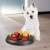 Trixie 32026 Dog Activity Flip Board Strategiespiel, für Hunde, 23 cm - 2