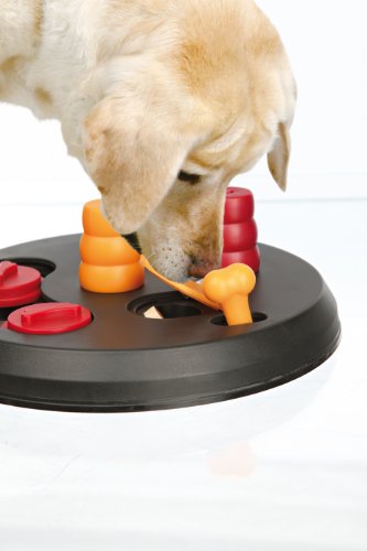 Trixie 32026 Dog Activity Flip Board Strategiespiel, für Hunde, 23 cm - 4